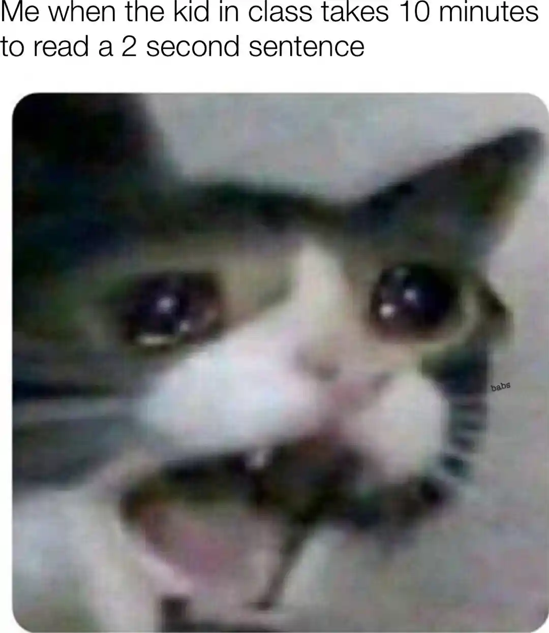 Screaming cat meme annoyed at slow class reading