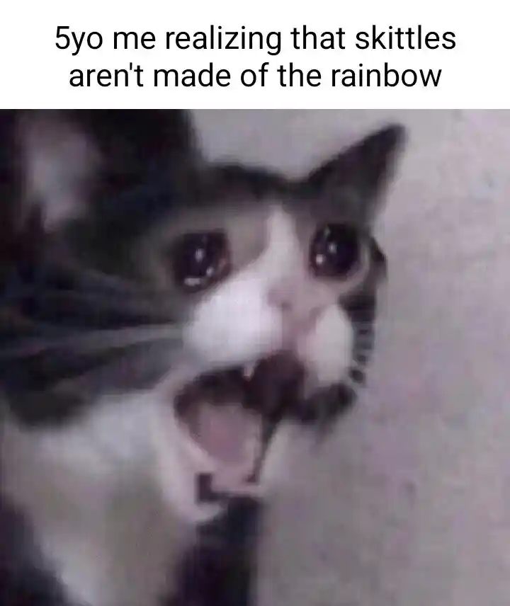 Screaming cat meme shocked skittles not made of rainbow