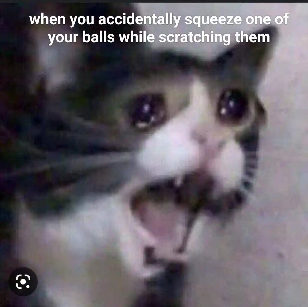Screaming cat meme squeeze balls accidentally
