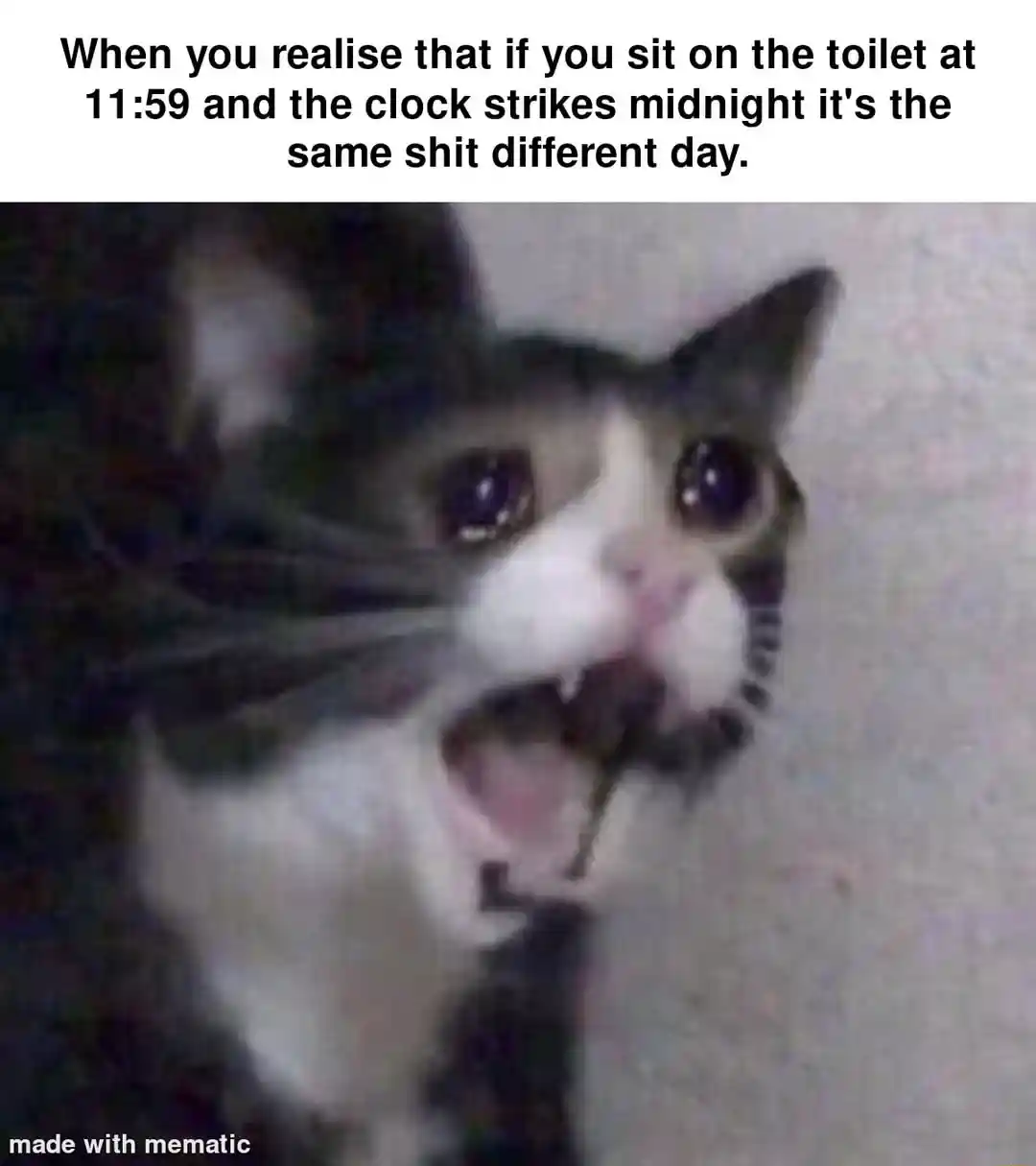 Screaming cat meme midnight toilet joke