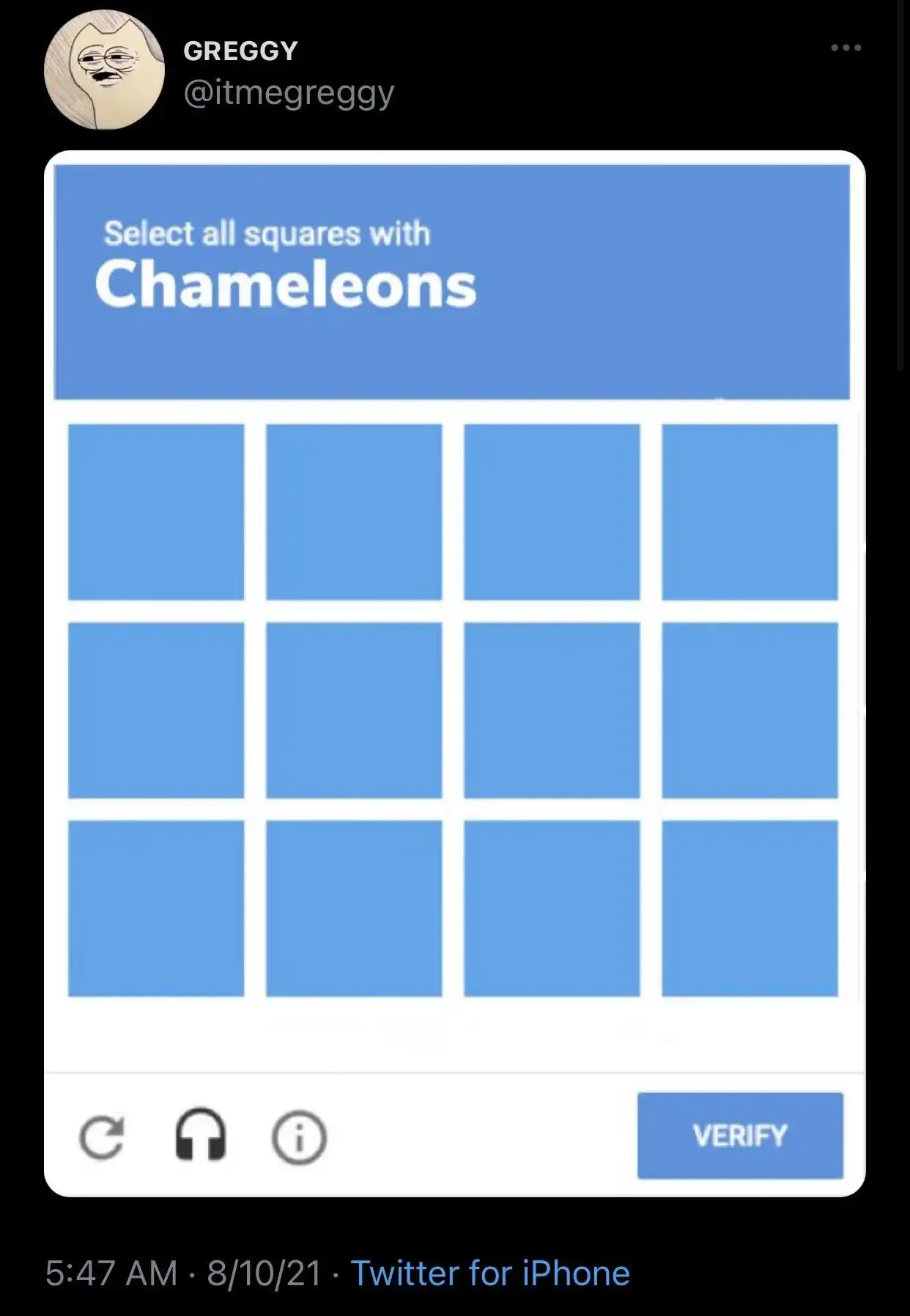 Chameleon captcha meme all squares blue