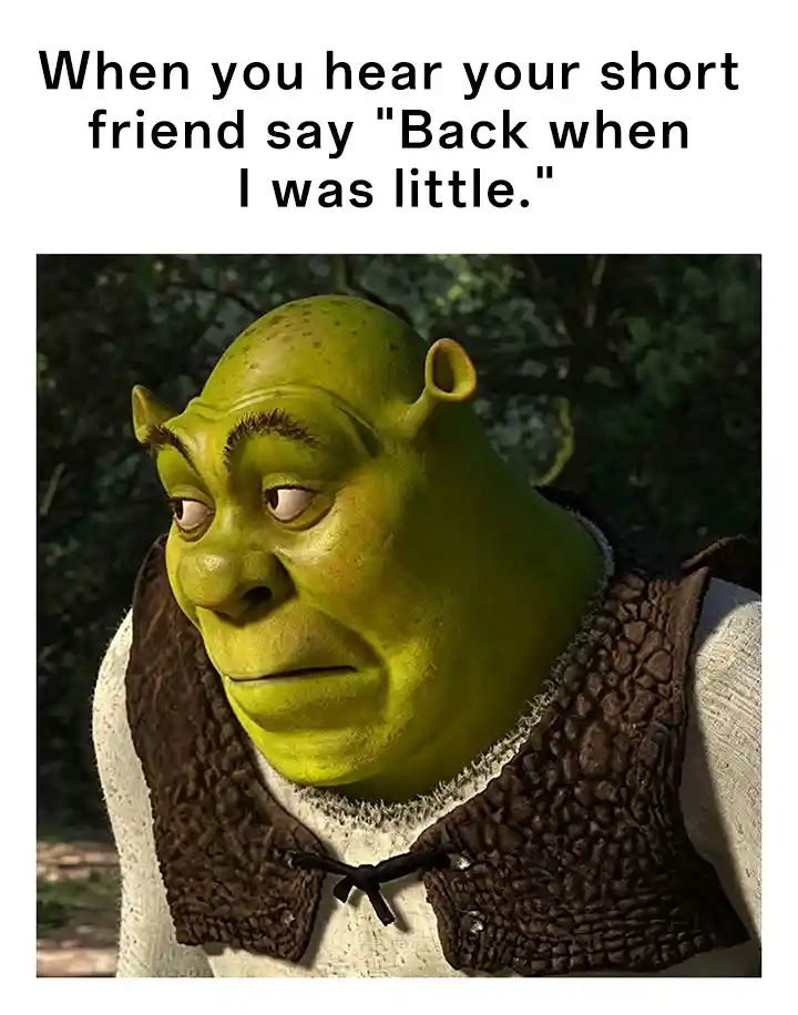 Shrek meme face judge short friend joke
