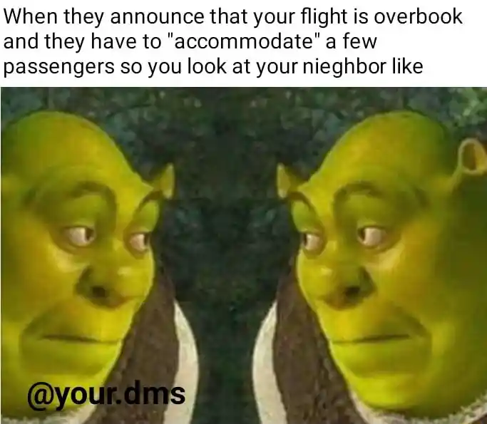 Shrek meme face eyeing neighbor overbooked flight