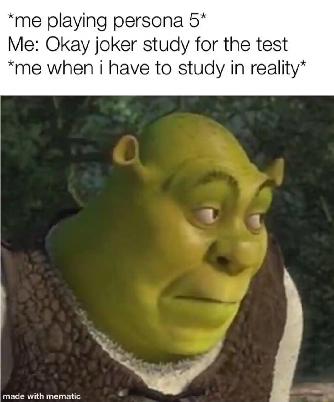 Shrek meme face hates real life studying