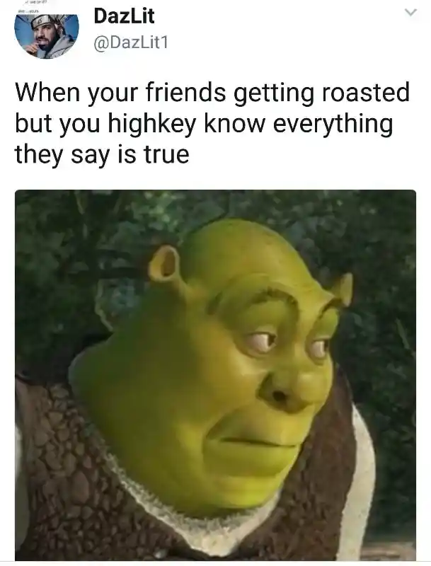 Shrek meme face deadpan at friends roast