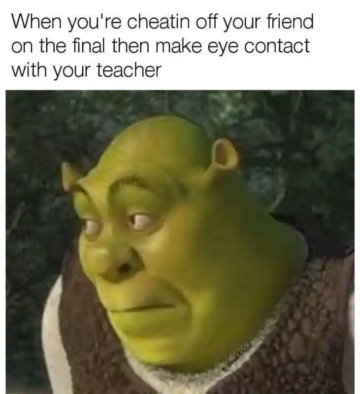 Shrek meme face caught cheating on final