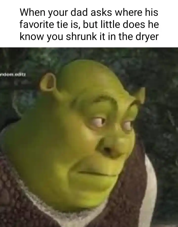 Shrek meme face hiding shrunk dads tie