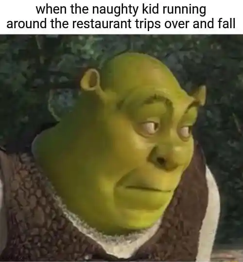 Shrek meme face judging naughty kid fall