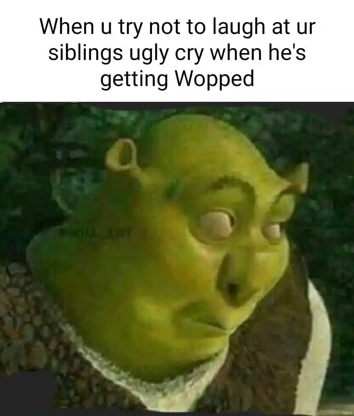 Shrek meme face holding laugh at sibling