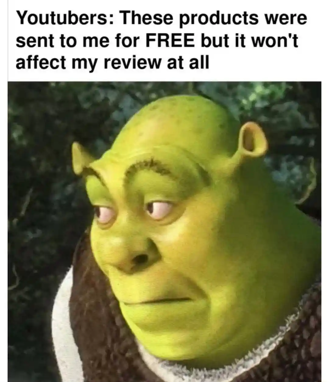 Shrek meme face doubting youtube review