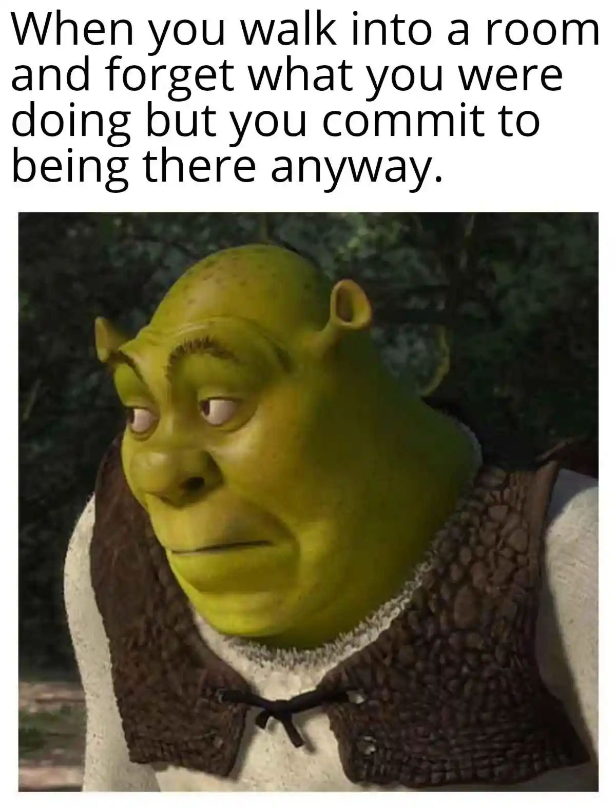 Shrek meme face lost after forgot task