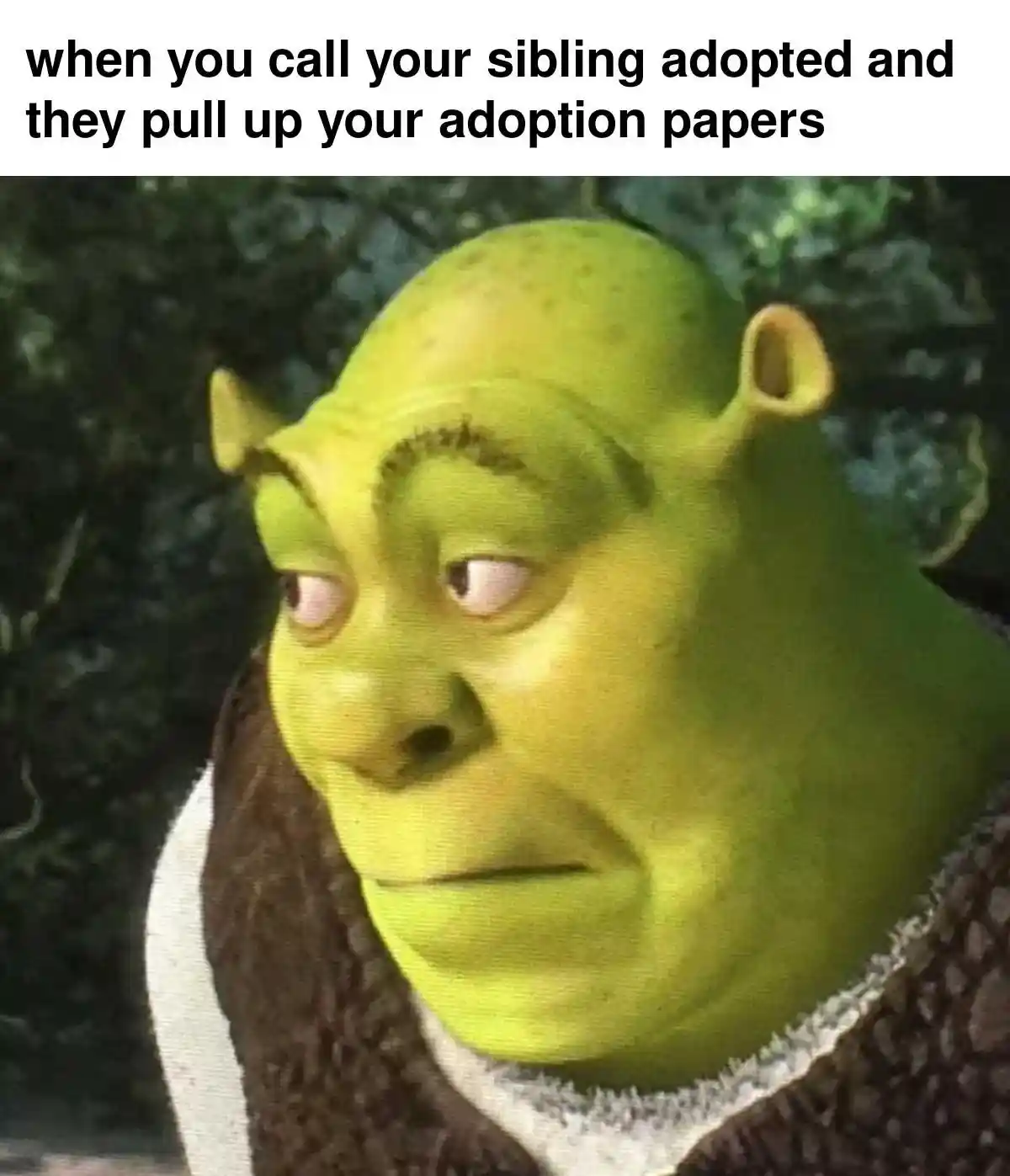 Shrek meme face shocked when sibling shows your adoption papers