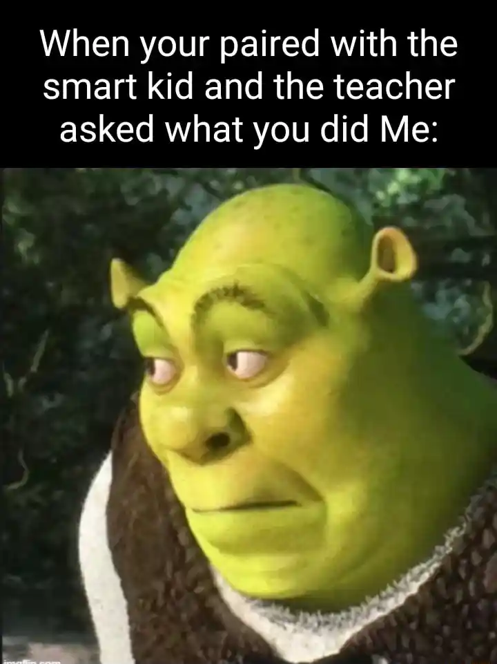 Shrek meme face is blank with smart kid