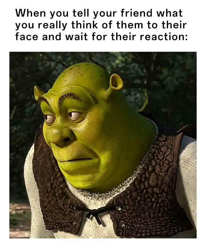 Shrek meme face waiting for friend reply