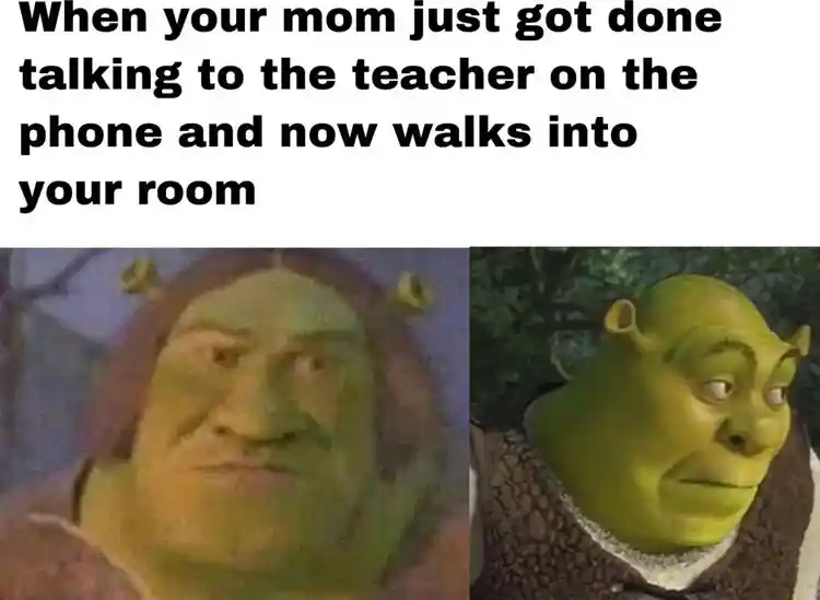 Shrek meme face scared when mom walks in