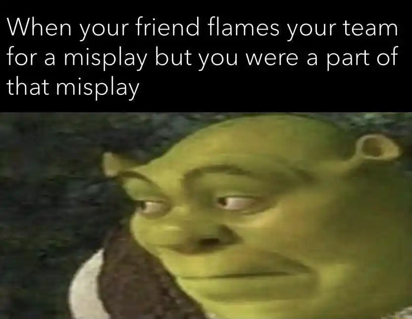 Shrek meme face guilty for team misplay