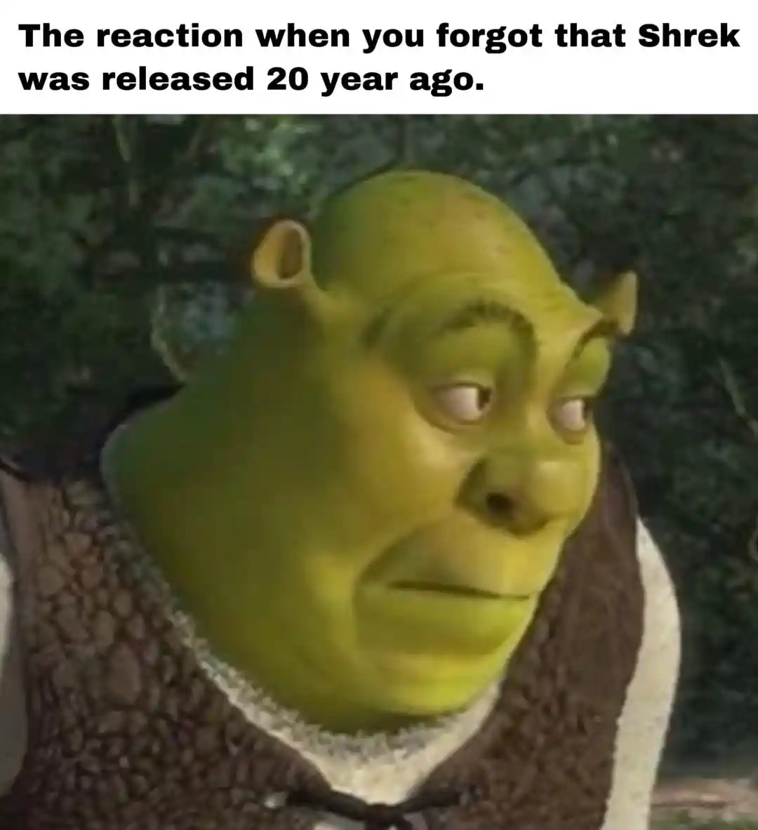 Shrek meme face shocked to learn shrek is 20 years old