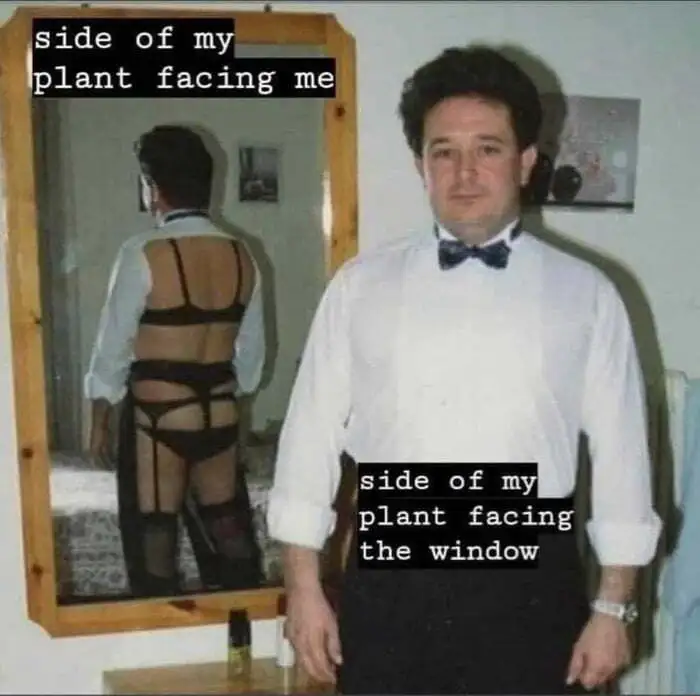 Plant meme showing two contrasting sides