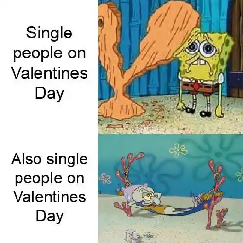 Single people valentines meme two moods