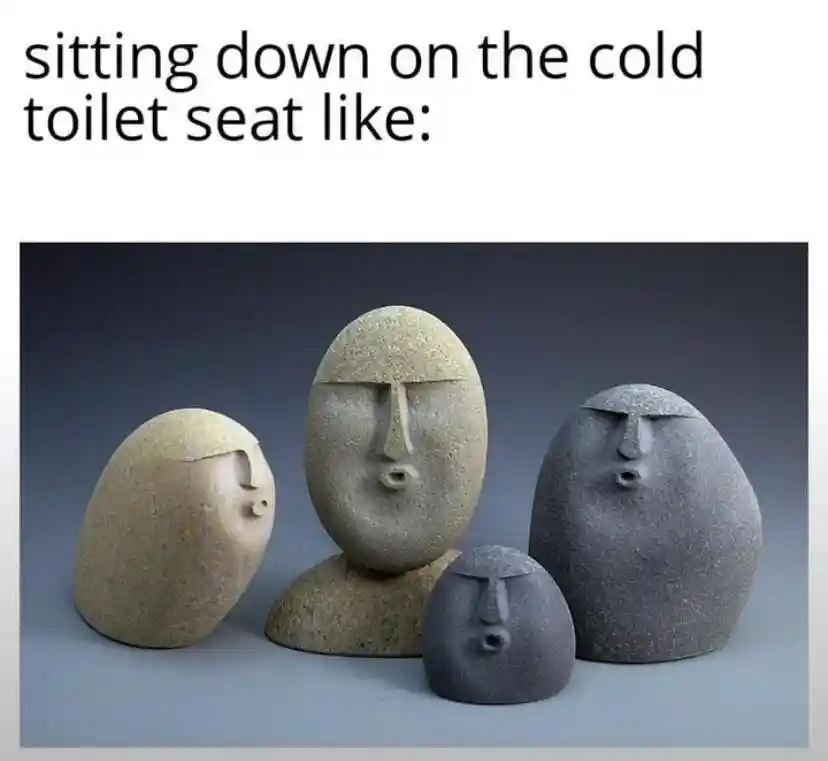 Cold toilet seat meme stunned stone faces