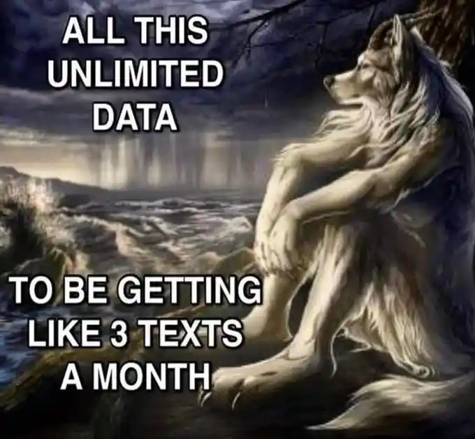 Sitting Wolf meme upset over unlimited data