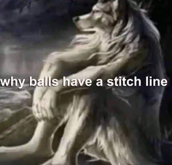 Sitting Wolf meme thinking of balls stitch line