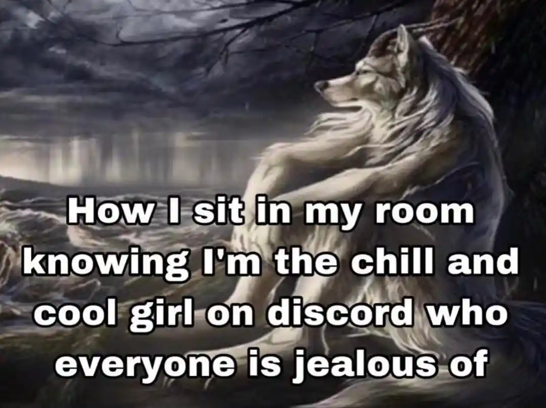 Sitting wolf meme proud cool discord girl