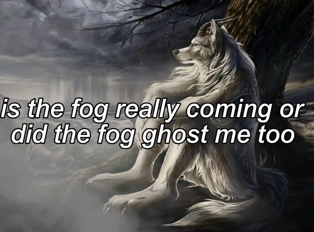 Sitting wolf meme sad fog ghosted him