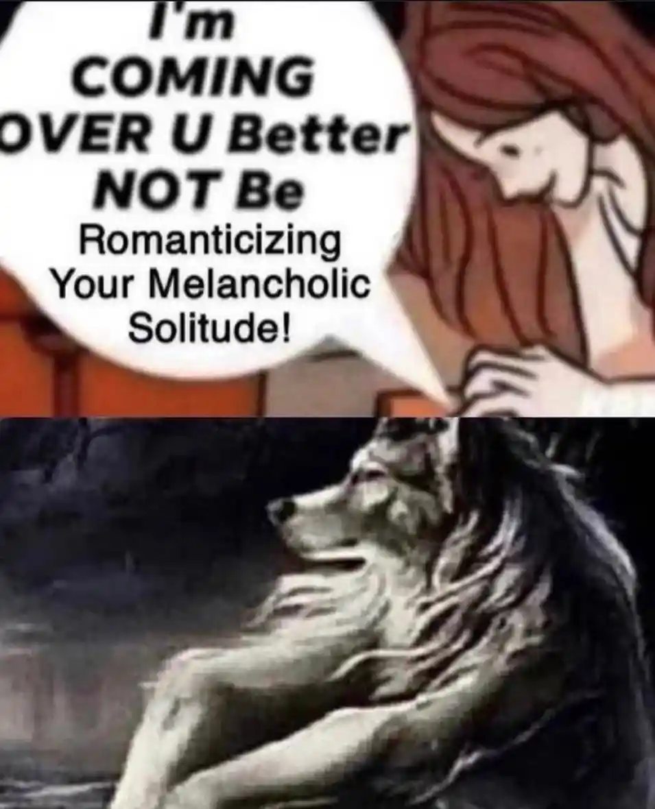 Sitting wolf meme told not to romanticize solitude