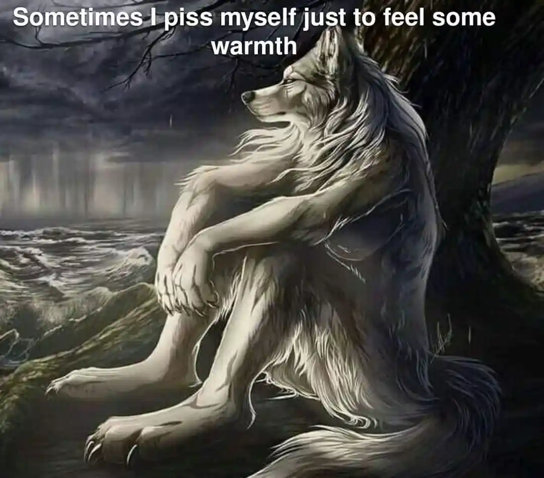 Sitting wolf meme pisses self for warmth