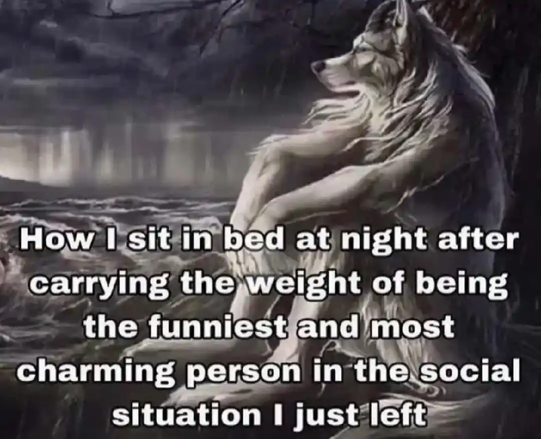 Sitting wolf meme tired post socializing
