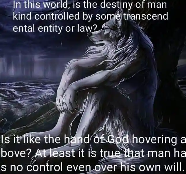 Sitting Wolf meme pondering life fate