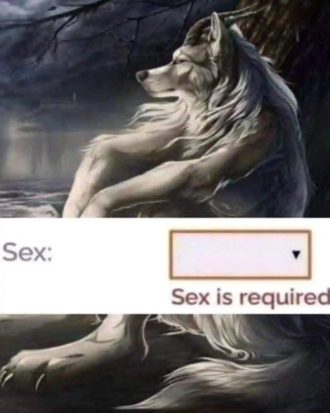 Sitting wolf meme sees sex required form