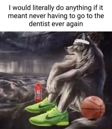 Sitting wolf meme hates visiting dentist