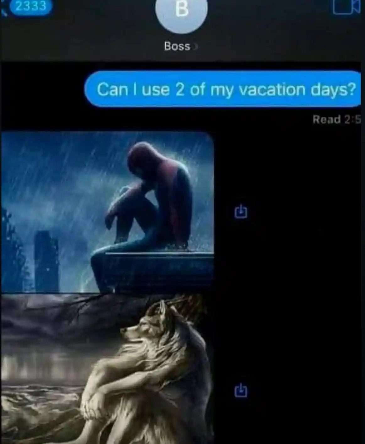 Sitting Wolf meme asking boss for leave
