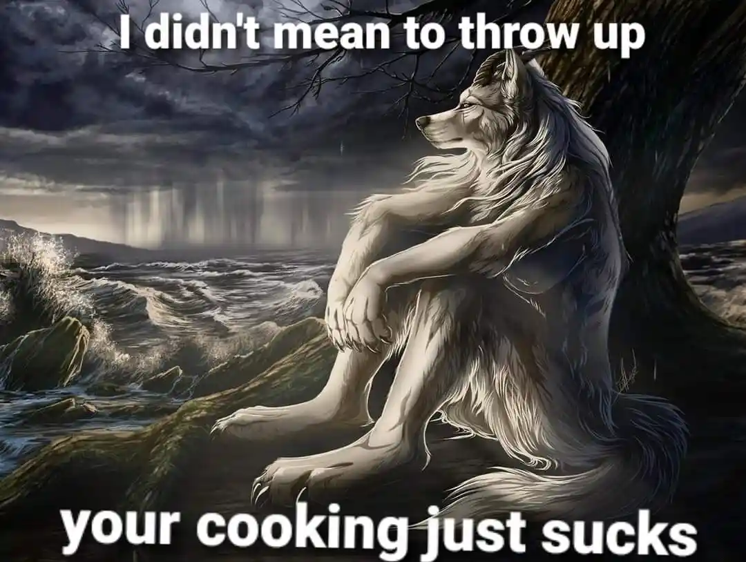 Sitting Wolf meme admit throwing up over bad cooking