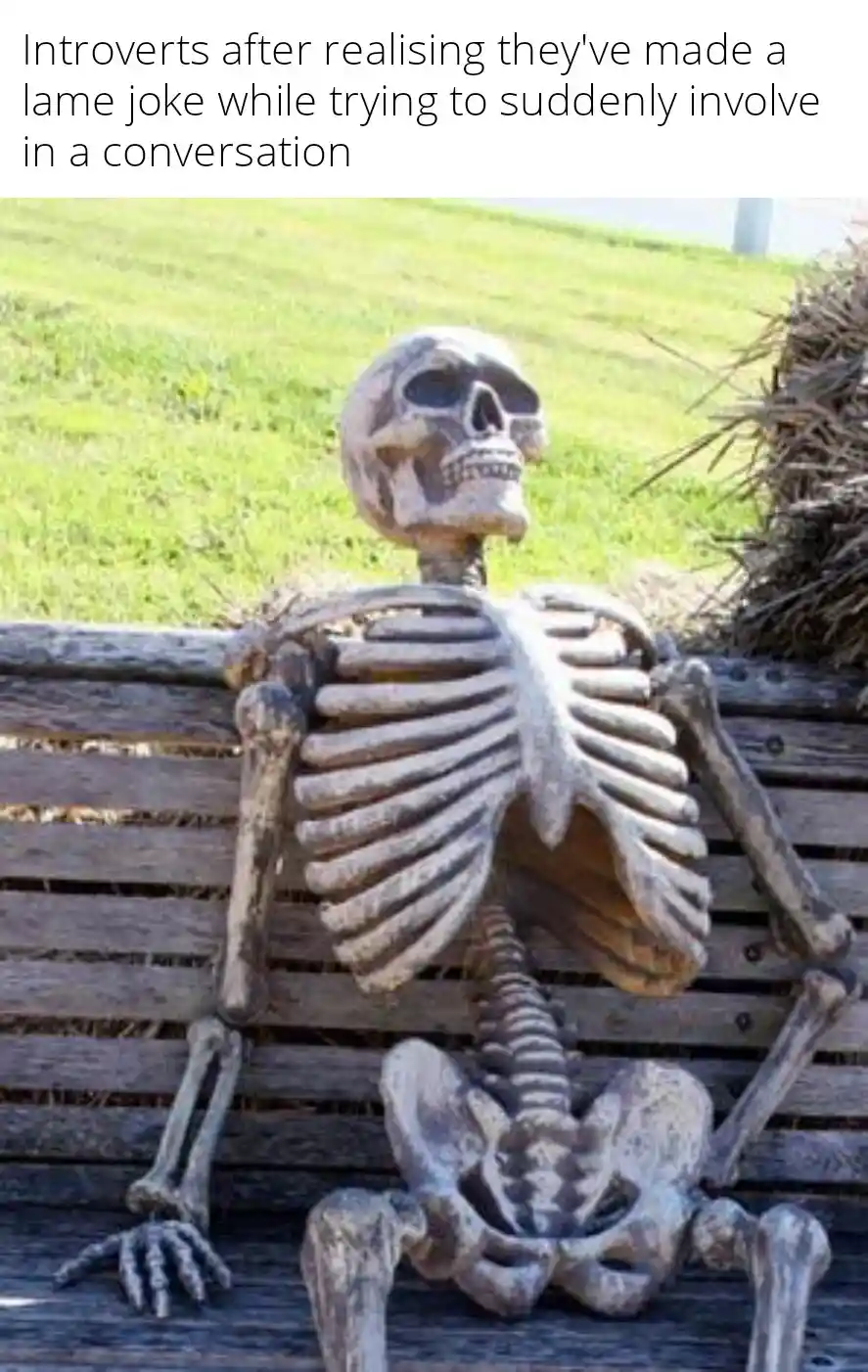 Skeleton waiting meme shy after bad joke