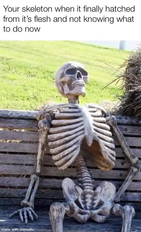 Skeleton waiting meme lost post hatching