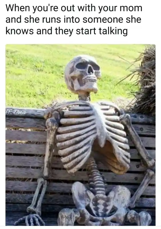 Skeleton waiting meme waiting for mom to chat