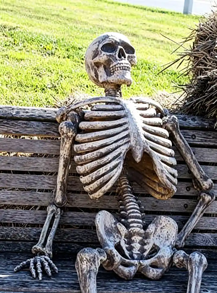 skeleton waiting meme template