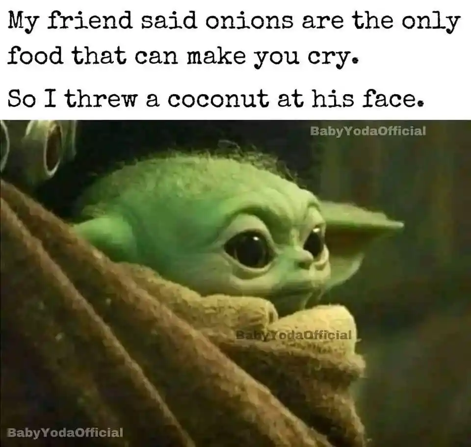 Baby yoda meme threw coconut at friend