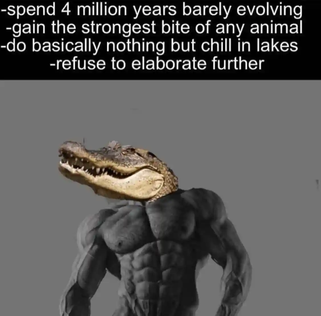 Gator meme chill in lakes wont elaborate