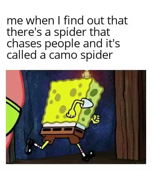 Spongebob running meme fleeing camo spider