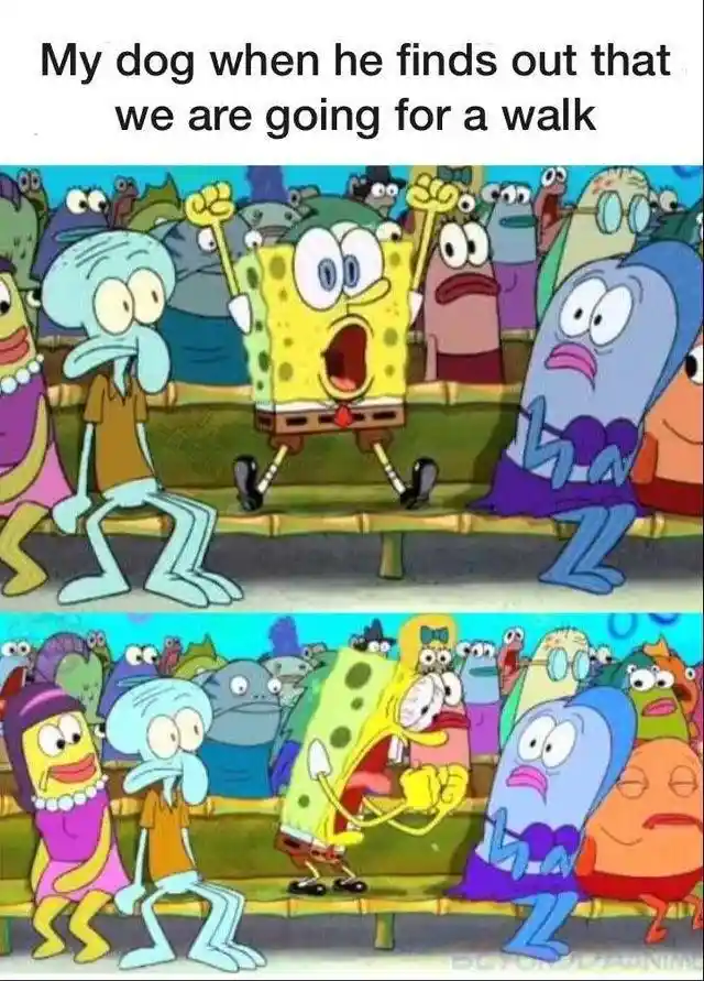 Spongebob screaming meme excited for dog walk