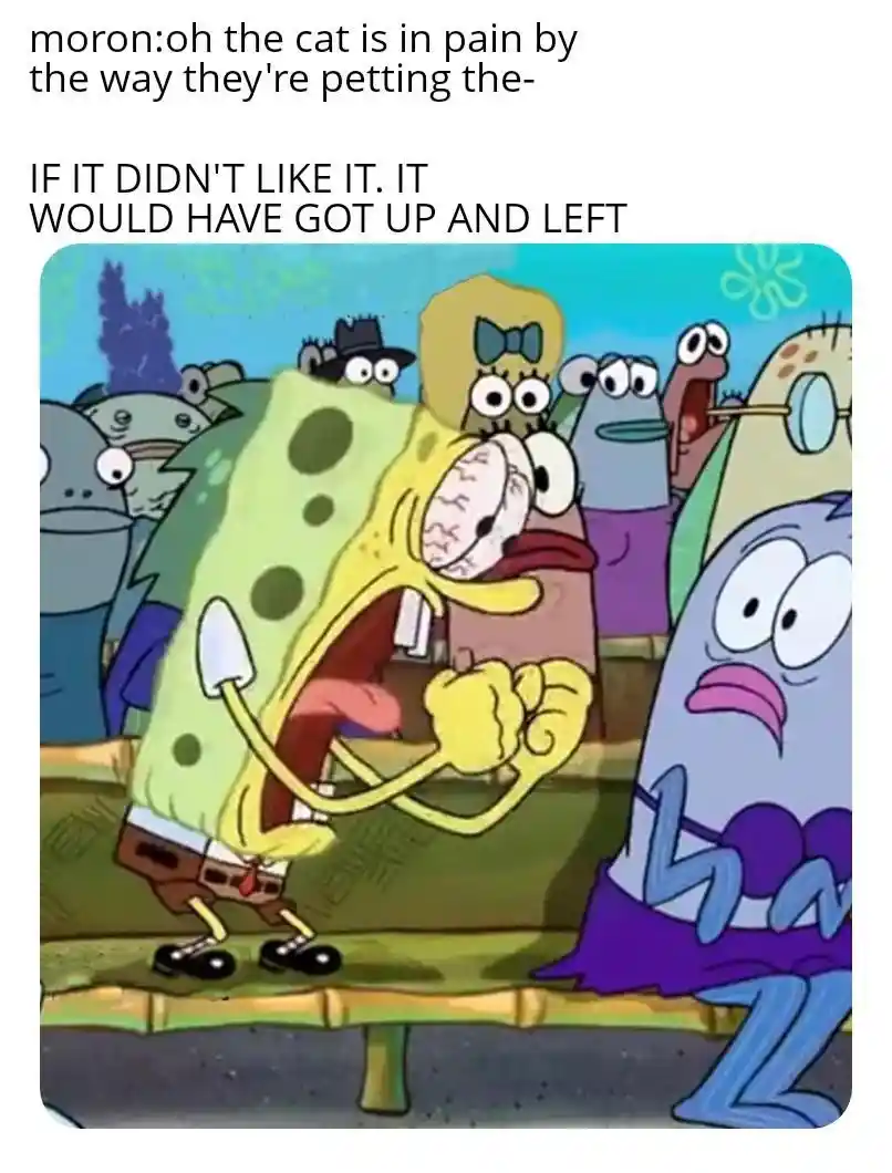 Spongebob screaming meme yells pets leave