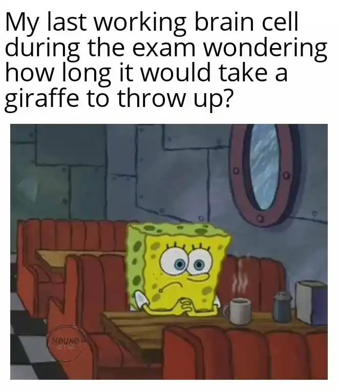 Spongebob waiting meme daydreaming in exam