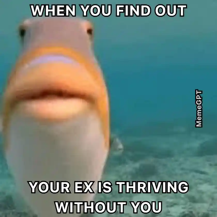 Staring fish meme shocked ex thrives without you