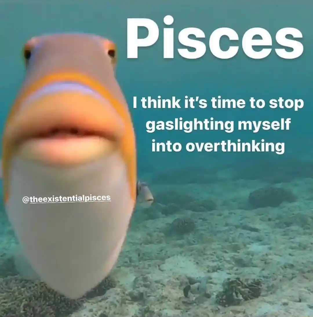 Staring fish meme pisces stop overthink