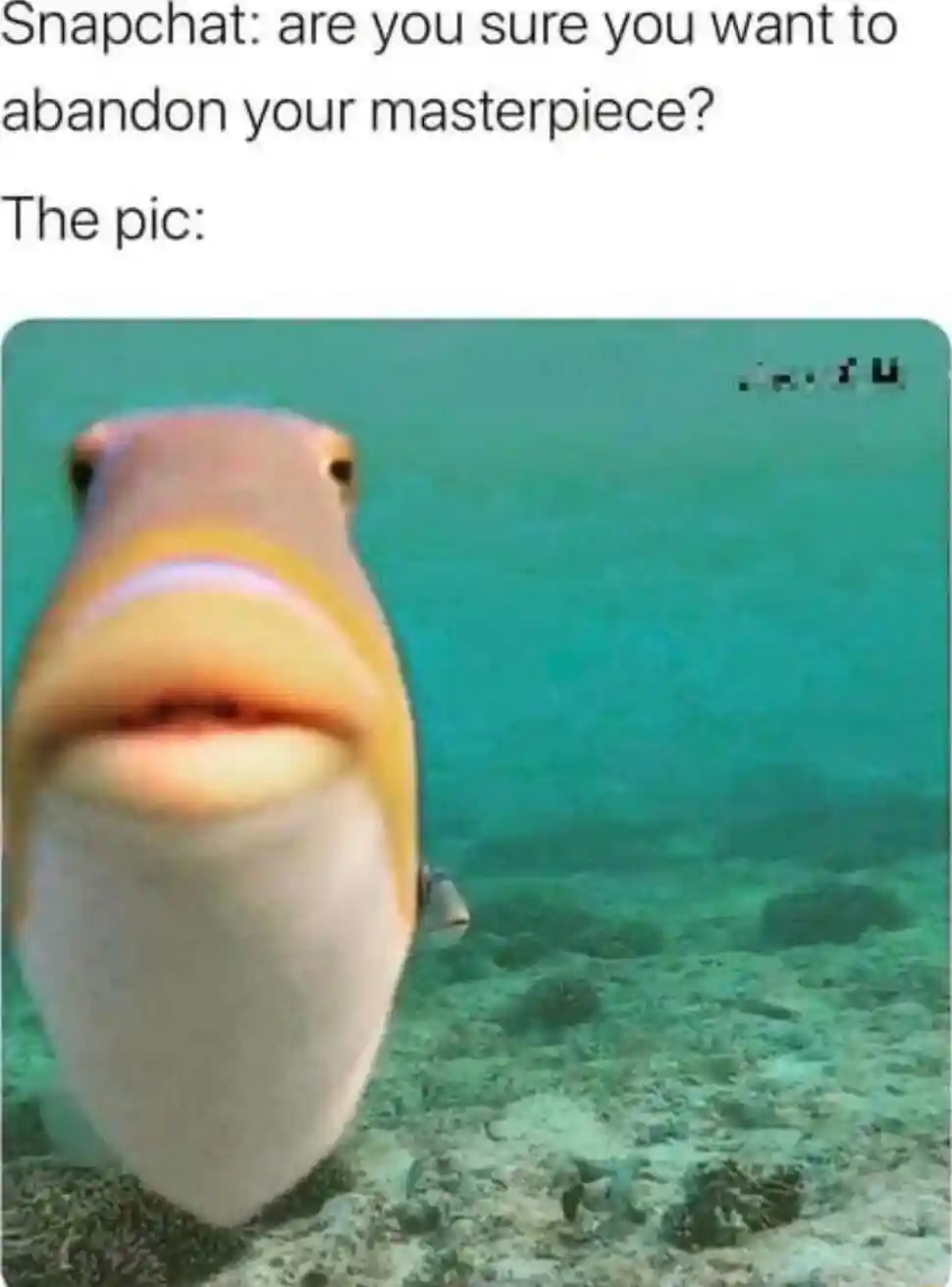 Staring fish meme snapchat dump bad pic