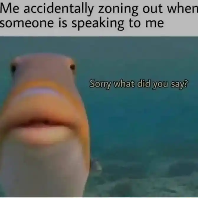 Staring fish meme zoning out during talk